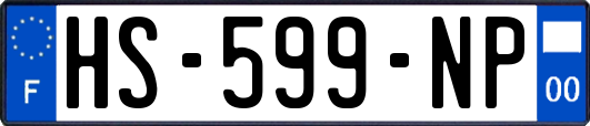 HS-599-NP