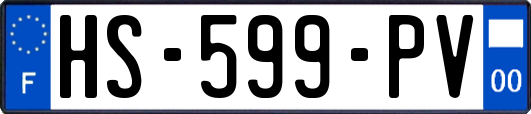 HS-599-PV