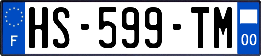 HS-599-TM