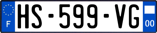 HS-599-VG