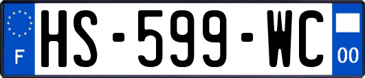 HS-599-WC