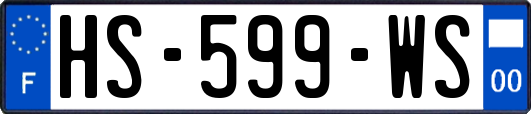 HS-599-WS