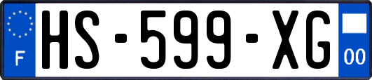 HS-599-XG