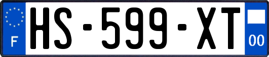 HS-599-XT