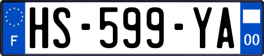HS-599-YA