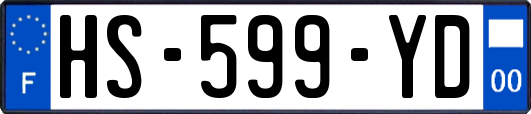 HS-599-YD