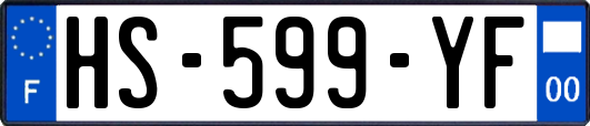 HS-599-YF