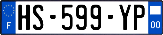 HS-599-YP