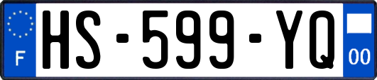HS-599-YQ