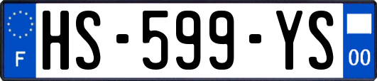 HS-599-YS