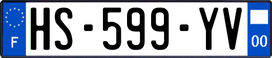 HS-599-YV