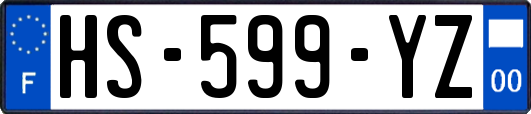 HS-599-YZ