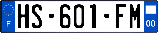 HS-601-FM