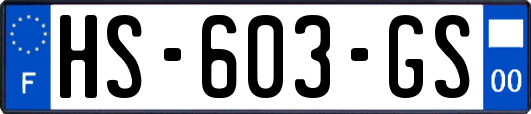 HS-603-GS