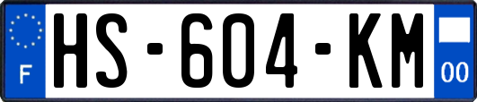 HS-604-KM
