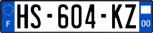 HS-604-KZ