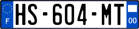 HS-604-MT
