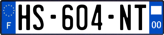 HS-604-NT