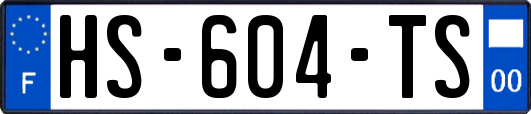 HS-604-TS