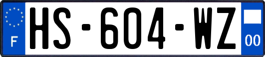 HS-604-WZ