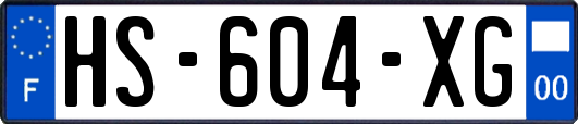 HS-604-XG