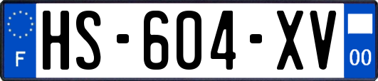 HS-604-XV