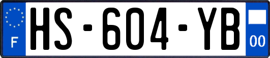 HS-604-YB