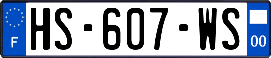 HS-607-WS