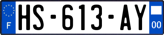 HS-613-AY
