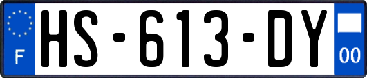 HS-613-DY