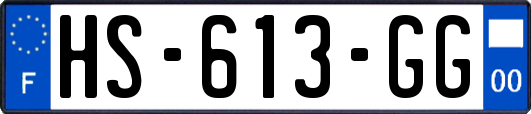 HS-613-GG