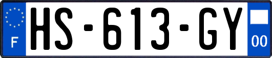 HS-613-GY