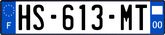 HS-613-MT