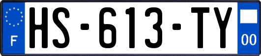 HS-613-TY