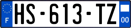 HS-613-TZ