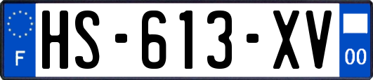 HS-613-XV