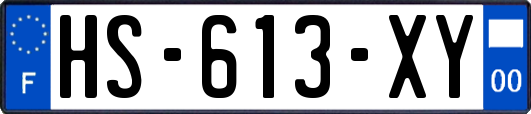 HS-613-XY