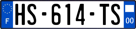 HS-614-TS