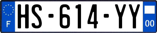 HS-614-YY