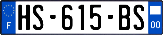 HS-615-BS