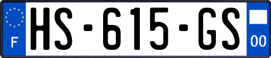 HS-615-GS