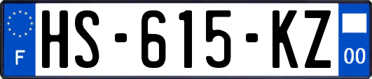 HS-615-KZ