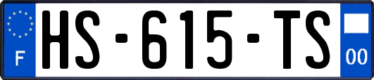 HS-615-TS