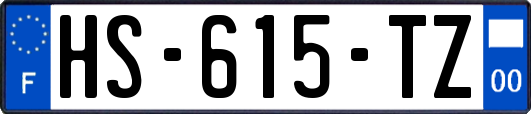 HS-615-TZ