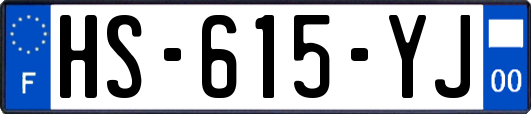 HS-615-YJ