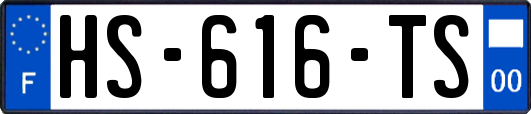 HS-616-TS