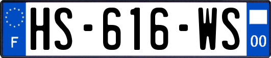 HS-616-WS