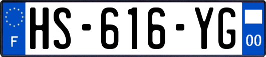 HS-616-YG