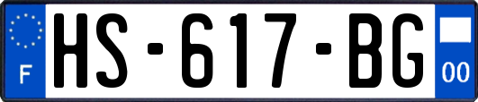 HS-617-BG