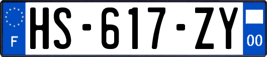 HS-617-ZY
